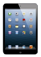 iPad Mini Repair