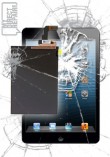iPad Mini LCD & Digitizer/Glass Replacement