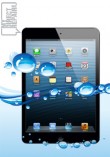  iPad Mini Water Damage Repair Diagnostic